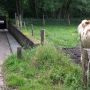 En even verderop nog zo'n mooi tunneltje