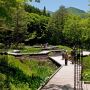 水生植物園と銘打たれているだけあって園内は整備された水辺と初夏の花がメイン 気温も山の上で且つ水辺という事もあって26℃前後となかなか快適でした