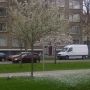 Overleg bij de sneeuwboom