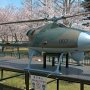 【りっくんランドの桜】遠隔操縦観測システム(無人機) 