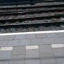 Ben je braaf op je perron aan t wachten, zie je opeens n kerol over t spoor lopen