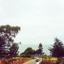 View from the future beach house of Kiko and Renate 
#chile #vista