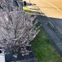 Uitzicht vanuit de #3FM studio: LENTE