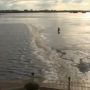 Bijzonder plaatje op de webcam in Giethoorn. De webcam zelf: http://www.youtube.com/watch?v=Af90X-ugJxw