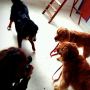 今日も朝からヒャッハー！ ▼･。･▼ノ