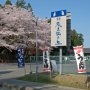 【常陸 風土記の丘】桜の時期、日中は大混雑する同園の駐車場もさすがに朝6時台は閑散としてるｗ ちと早く着きすぎたわｗ 