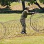 【武山駐屯地 東部方面混成団創立6周年記念行事】慣れた手つきで有刺鉄線を敷設 これで準備オッケー！ 