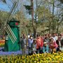 【ひたち海浜公園2016】風車周辺は記念撮影のポイントですね～ 