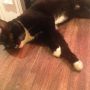 I'll just lie here shall I?