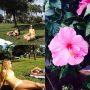 Happy to be in southern Florida!! Warmth. Sun. Humidity. Bathing suits. 
The flowers are happy too. :)
