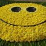 @zoquetuno con pocas palabras xq trasnoché & ya no tengo edaT !!  #FF a la alegría de Pelosssss  #PincelesQueQuieren