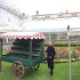 Botanic garden Belfast