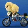 @75judi @CherryJulie 