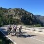 Col de Rates #RaboLiv