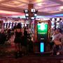   Maar niet alleen cafe, maar ook Hard Rock Hotel en Casino #tampa