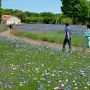 【とちぎわんぱく公園】びーっちり咲いているとさぞや綺麗だっただろうけどなー