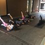 After 9km of running the Monday Morning Run of @vorstil 🏃🏻‍♀️ we got a fantastic @broga.nl training from @yogaground 💪🏼. Thanks Ferdinand! Let's see if we feel the muscles tomorrow 😜 #running #Broga #Yogaground #rotterdam #vorstil #together #run #activestart #entrepreneurs #pushing #goodstart #newmonth #mondaymotivation