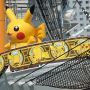 【踊る？ピカチュウ大量発生チュウ！】日本丸デッキ上にもピカチュウが降臨！