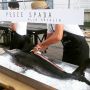Italians go wild #swordfish #fashionshow #garciajeans #vannellefabriek #rotterdam