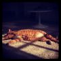 Enjoying the sun...