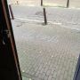 First thing I saw this morning when I opened the door...