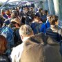 【東京オートサロン2017】イベントの朝は早い 戦いは日が昇ると共に始まっているんだ！ 今年はいいポジションに並べたぜ 待機列の先頭が見えるしなｗ