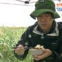 ご飯ｍｇｍｇ