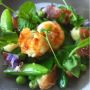 Langoustines