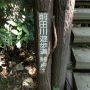 終点