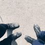 The result after a long walk with dogs in the forest and beach #dirtygirls
