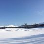5" of snow in an hour in the U.S. brrrr