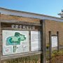 今日はお昼休みに抜け出して河津桜が咲き誇る宇都宮城址公園に行ってｷﾀ━━ヽ(ﾟ∀ﾟ )ﾉ━━!!