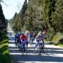 Viale dei Cipressi @RaboLivGiant #Tuscany