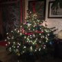 Een kerstboom moet hysterisch zijn. Wij kiezen die van ons doorgaans uit sympathie. Een beetje zoals hippies dieren adopteerden in de jaren 70. Je kiest een zielig exemplaar, en overspoelt het daarna met liefde. Ziehier ons kleine dikkerdje. #kerst #hysteria #jazeker