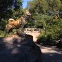 Central Park. 
