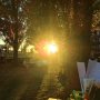 Lens flare for life: talking travels 🌏
#eastside #fareast #streetfood