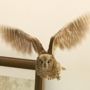 羽ばたいてこっち向ってくる鳥を撮るという新しい課題が！遥か彼方の星の光を捕らえるのとは真逆！シャッタースピード1/1000秒でやっと羽がブレないで撮れる。試し撮り中の1コマ、必死でかわえぇぇ！→