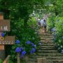 【太平山】今年の「とちぎあじさいまつり」は6/14～6/30 http://ht.ly/lBFaI