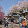【天平の丘公園】売店前 なかなかの盛況ぶりです