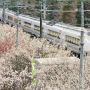 梅祭りの期間中だけ営業される偕楽園臨時駅を発車する特急ひたち