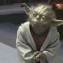 @ReignOfApril THE FORCE IS STRONG WITH YOUNG PRILWALKER!!!