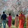 【常陸 風土記の丘】凄い格好の団体さんがおるのだが...ｗ 撮影会かなんか？ｗ 