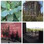 High Line. 