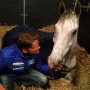 Chillen met Bayro NOP, die ik samen met Keyflow hier bij heb om te trainen #RenswoudeHorseTrails #RuitersInOranje