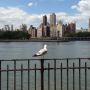 Roosevelt Island en Manhattan vanuit Astoria. 