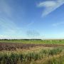 Polder #natuur #polder #vogels