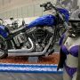 【ストリートロッド・カスタムショー2015】マジレスするとバイクの事は良く分からんので今回はひたすら撮ってきた写真をうｐする事に専念しますねｗ