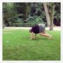 Early morning workout with @zee