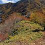 なんとかは高い所に登りたがるｗ (ﾟ∀ﾟ; ｱｾｱｾ
