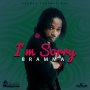 BRAMMA - I'M SORRY - SINGLE #ITUNES 4/15/16 @dmusproductionz @Bramma1